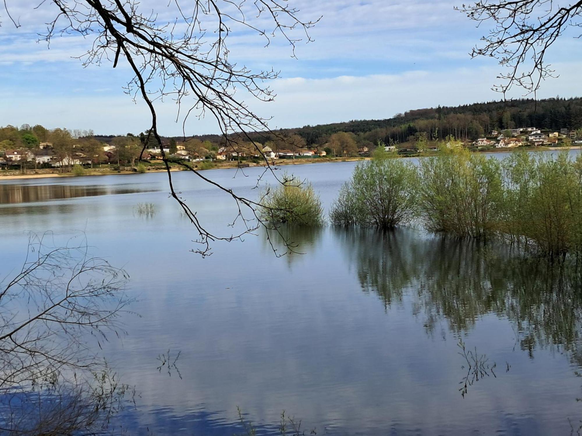 Grand Gite Des Pins Chaumousey Экстерьер фото